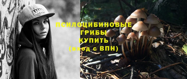 a pvp Алексеевка