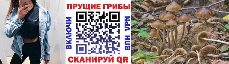 Псилоцибиновые грибы MAGIC MUSHROOMS  Анжеро-Судженск 